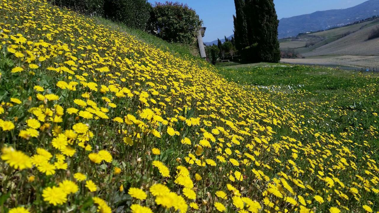 Casale Di Valle Villa Vinci Exterior foto